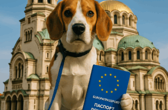 Bulgarie : Délivrer un Passeport Européen pour Votre Animal Facilement