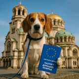 Bulgarie : Délivrer un Passeport Européen pour Votre Animal Facilement